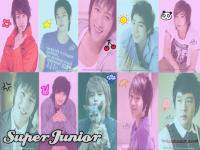 Super Junior