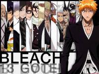 BLEACH-13 Gotei