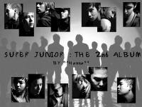 SuperJunior the 2nd Album