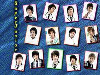 13 พลพรรค SUJU