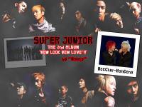 SuperJunior 2nd Album : HankyungHeechul Project