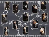 Super Junior's Lovers