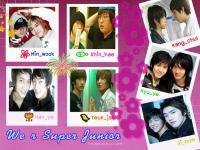 Super Junior ฉบับ "คู่แปลก"