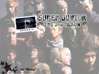 SuperJunior 2nd Album : Dont Don