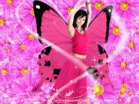 KIM TAE HEE pink butterfly