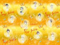 Super Junior in the Bubble