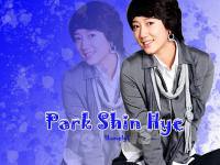 Park Shin Hye