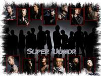 Super Junior Don't Don