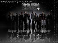 *~.-SuPeR JuNioR Don't Don 2nd Album-.~*