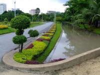 สวนกลางเมือง