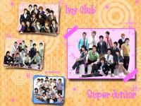 Super Junior Ivy Club