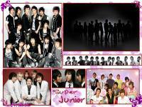 Super Junior