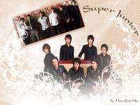 SUJU4ever