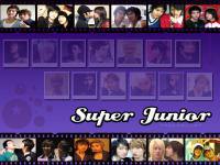 WE_ARE_SUJU