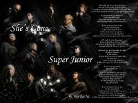 She's Gone - Super Junior