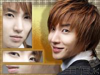 LEE TEUK