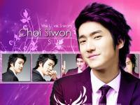 We love Siwon(2)