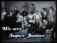 ... Super Junior ...