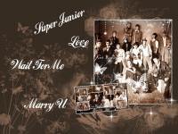 Super Junior - Marry U