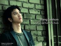 Wang Leehom - Falling Leaf Ruturns to Roots 01