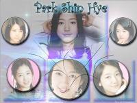 Park Shin Hye