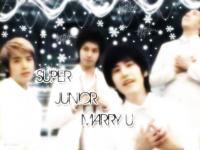 Super junior Marry U