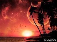 the sunset