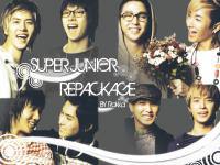 Super Junior Repackage