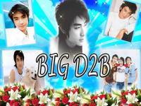 Big D2B