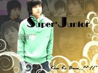 KIM KI BUM เจ้าชายแห่ง SJ