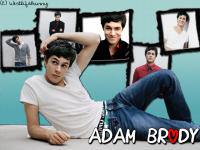 adam brody