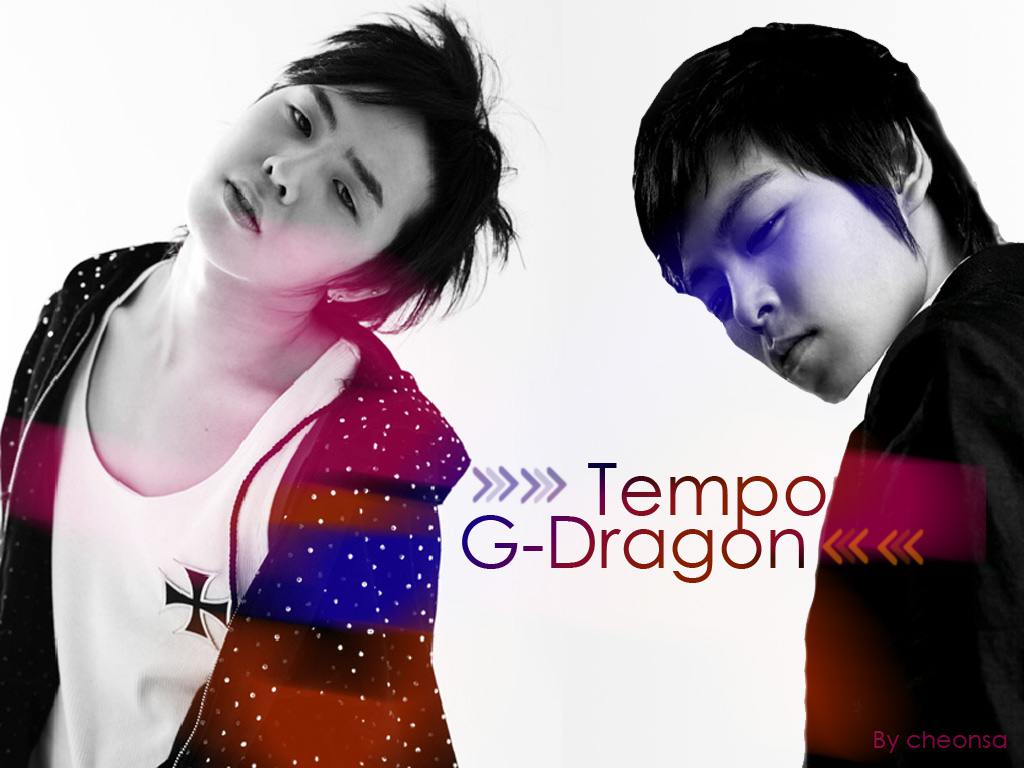 Extra Ordinary Big Bang TOP amp; GDragon Wallpaper