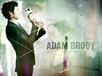 Adam Brody