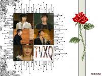 TVXQ