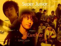 Super Junior - EunHae
