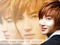 EETEUK Super Junior