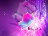 The Lotus : Open your soul เปิดประตูแห่งจิตวิญญาณ