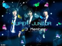 Super Junior 3 Member