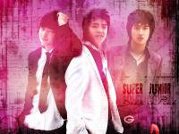 Super Junior :: Deep in Pink