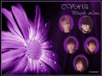 DBSK (Purple Line 3)