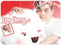 Tae Yang :: Big Bang