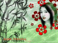 Park Shin Hye- Asian Princess