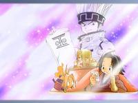 shamanking