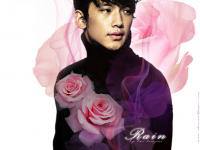 [Rain]Valentine