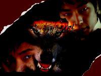 Time between dog and wolf