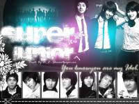 Super Junior : Black Light