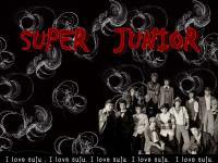 super junior