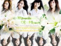 Miracle Of Flower