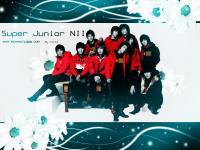 Super Junior Nll