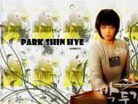 Park Shin Hye